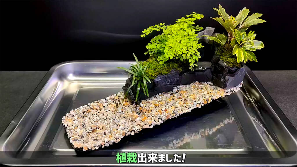 植栽が完了しました
