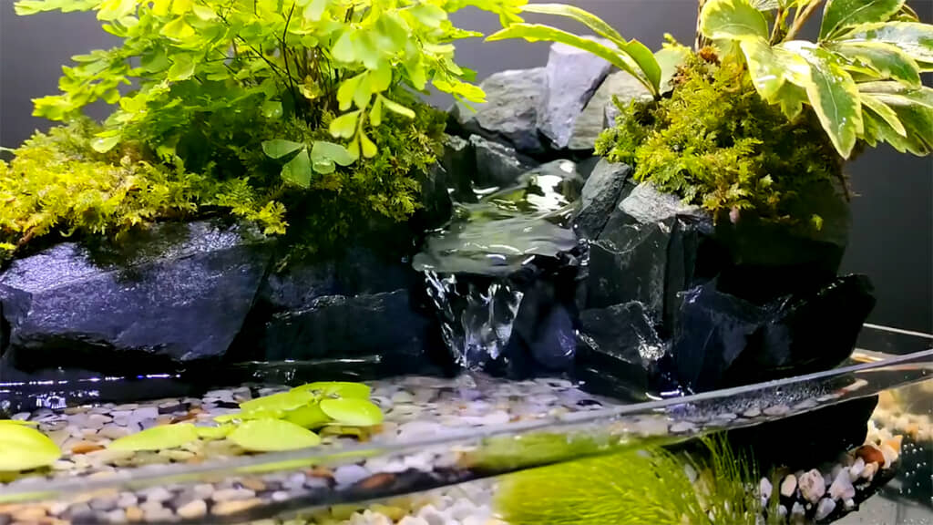 水中ポンプを作動させると……