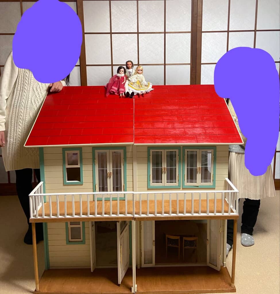 かなり大きなサイズです