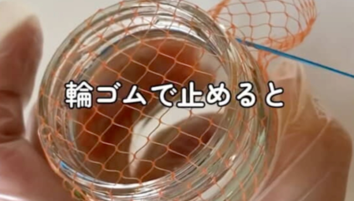 玉ねぎのネットを瓶にかぶせるだけで……　「その手があったか!!!」　水耕栽培が激変する「大発明ですよこれ！」「その手があったか!!!」（1/3） | ライフハック ねとらぼ