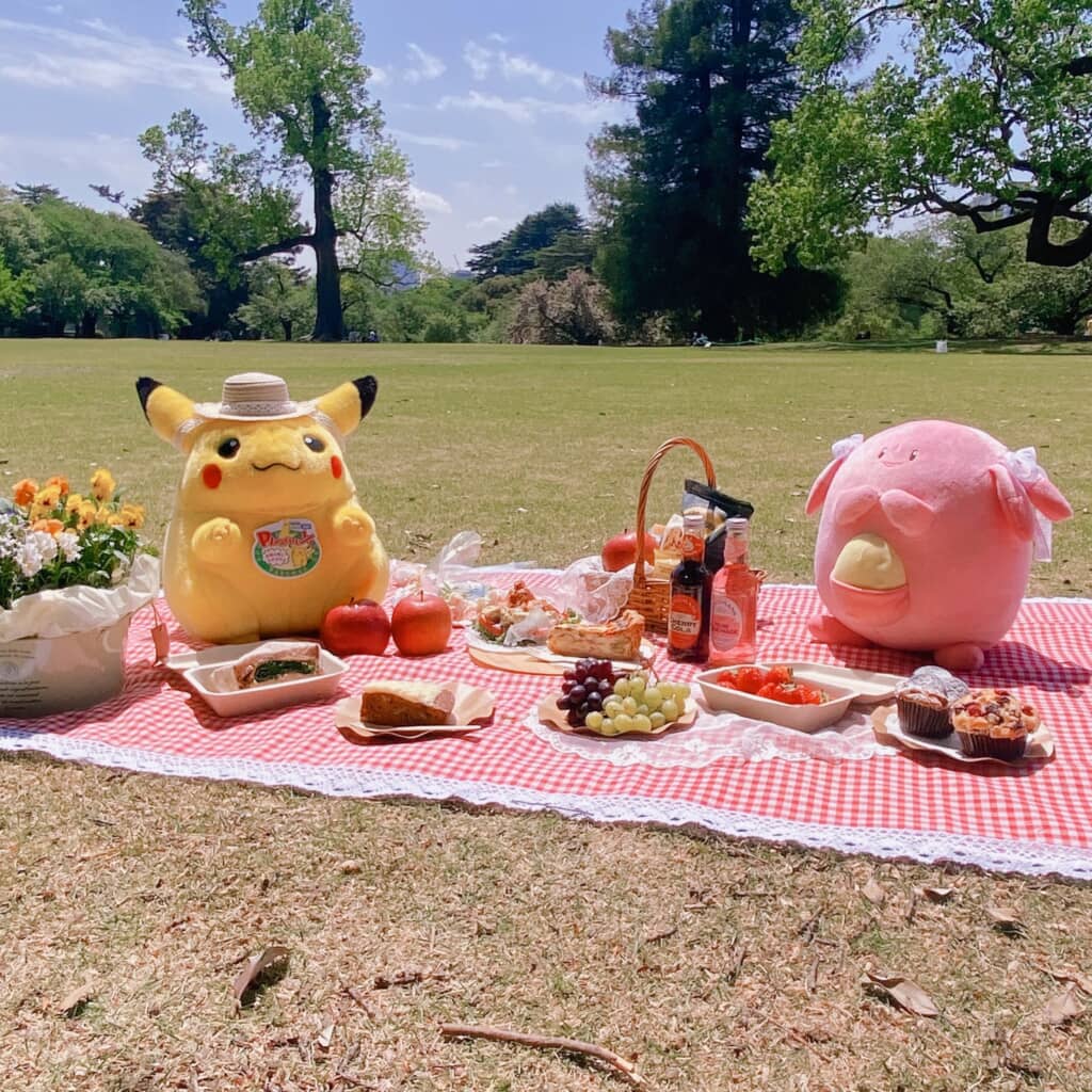 ポケモンとピクニック