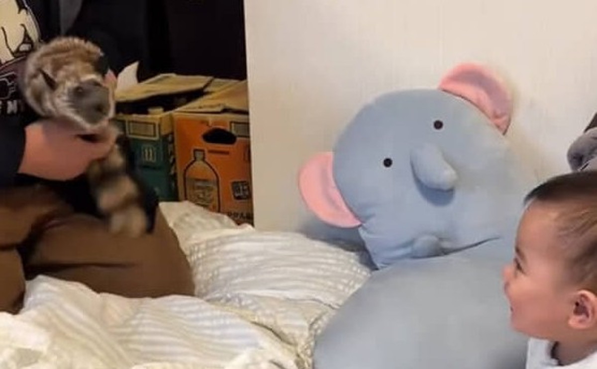 0歳赤ちゃんがマジシャン叔父の手にかかると…… お腹が痛い光景に「プロwww」「うますぎるだろ!」(1/3) | ライフスタイル ねとらぼ