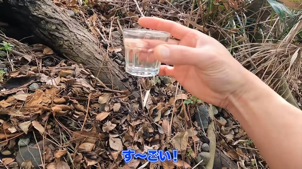 木の樹液からシロップを作る