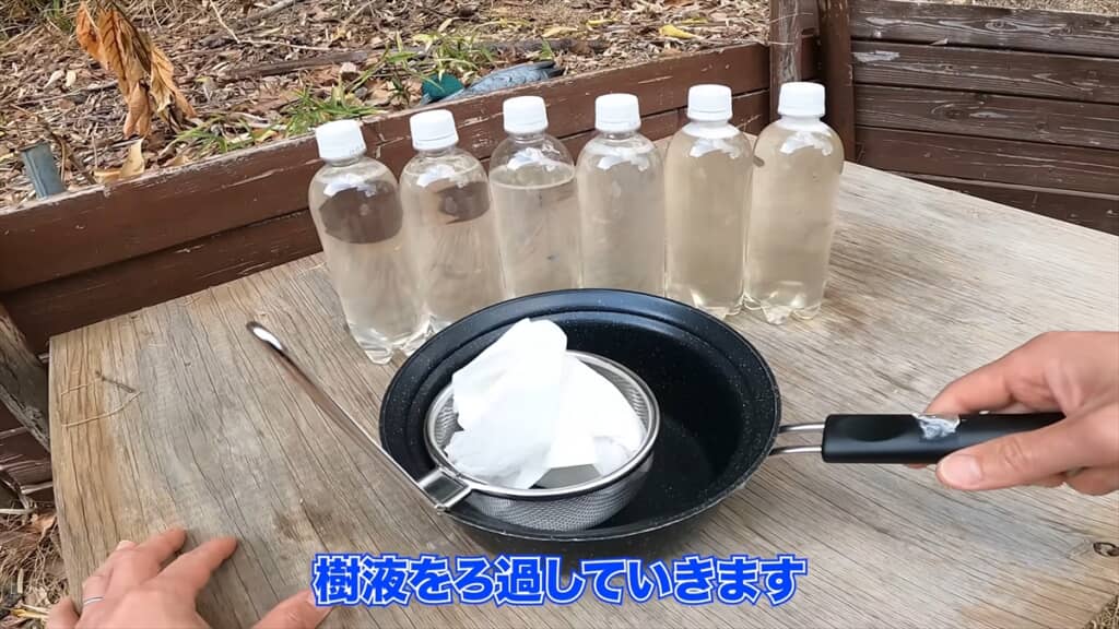 木の樹液からシロップを作る