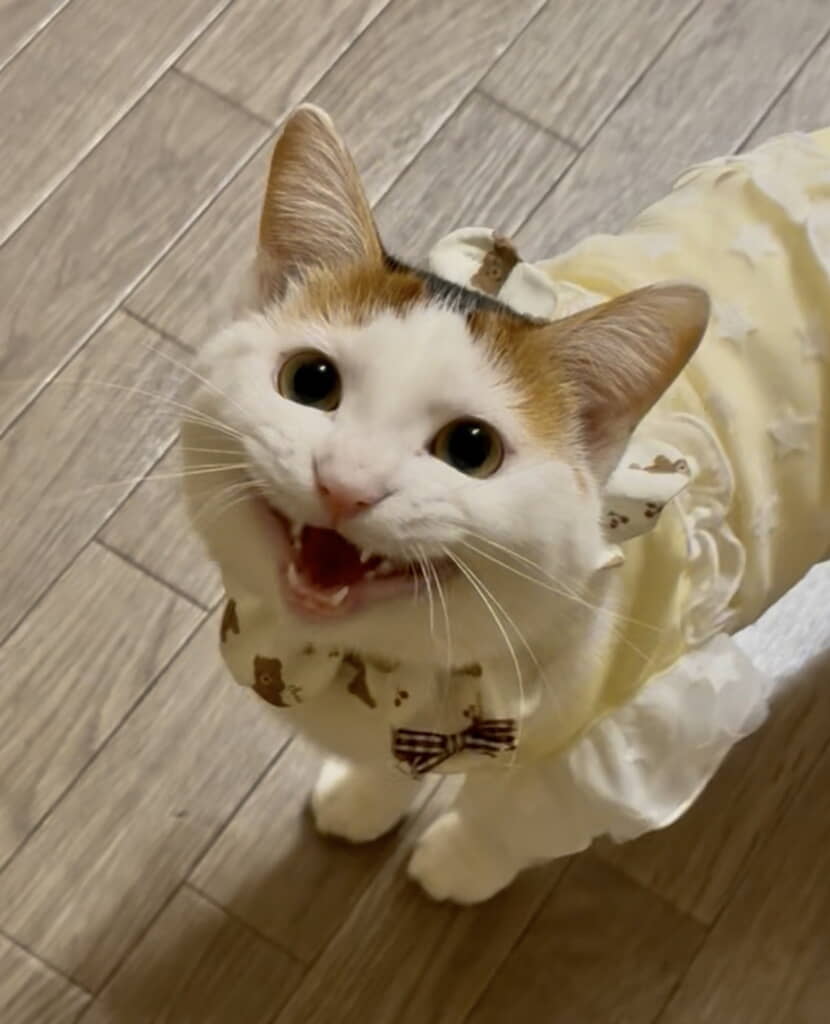 1歳の誕生日を迎える前日、変わらぬ笑顔にキュン