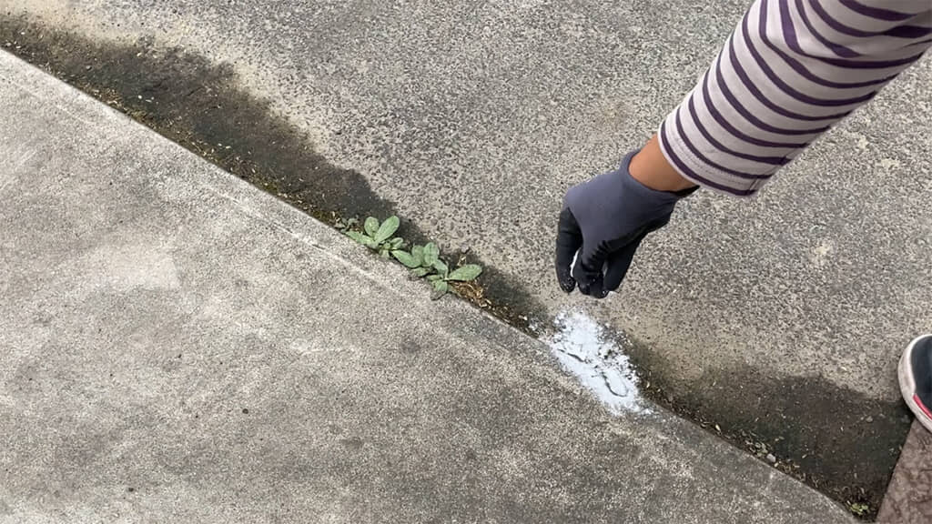 自宅の庭にある雑草にも重曹をまきました