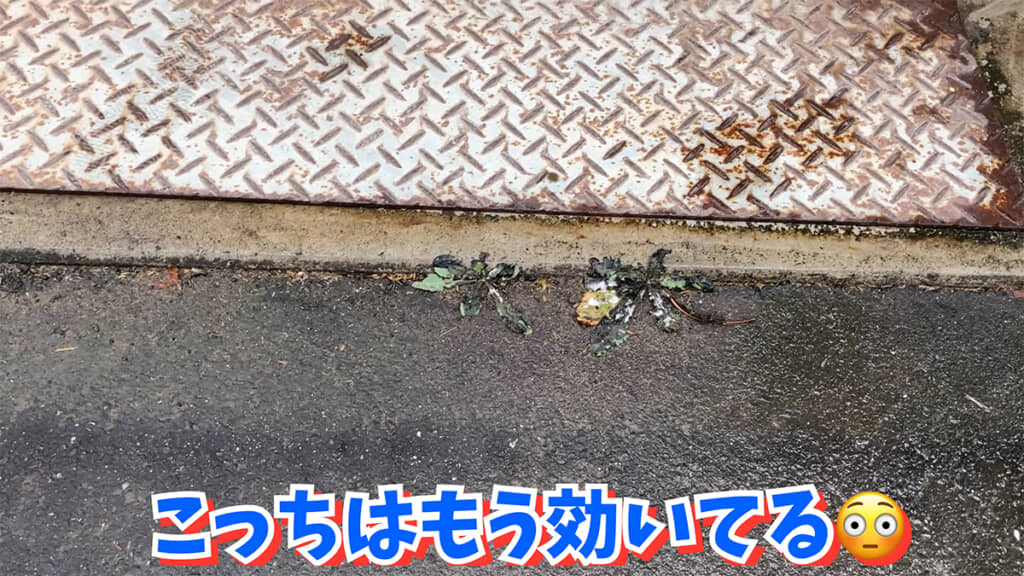 庭の雑草にも効果が