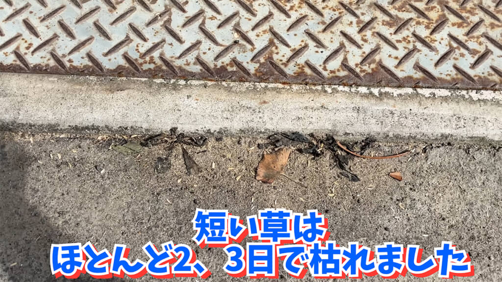 庭の雑草にも効果あり