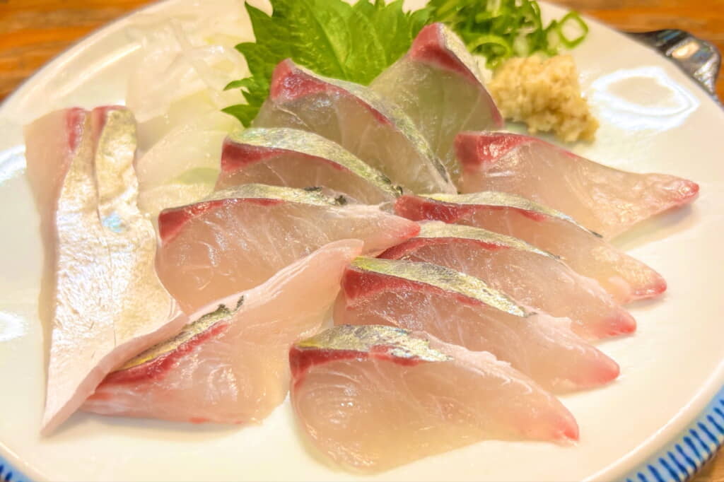高級魚のシマアジ……!?