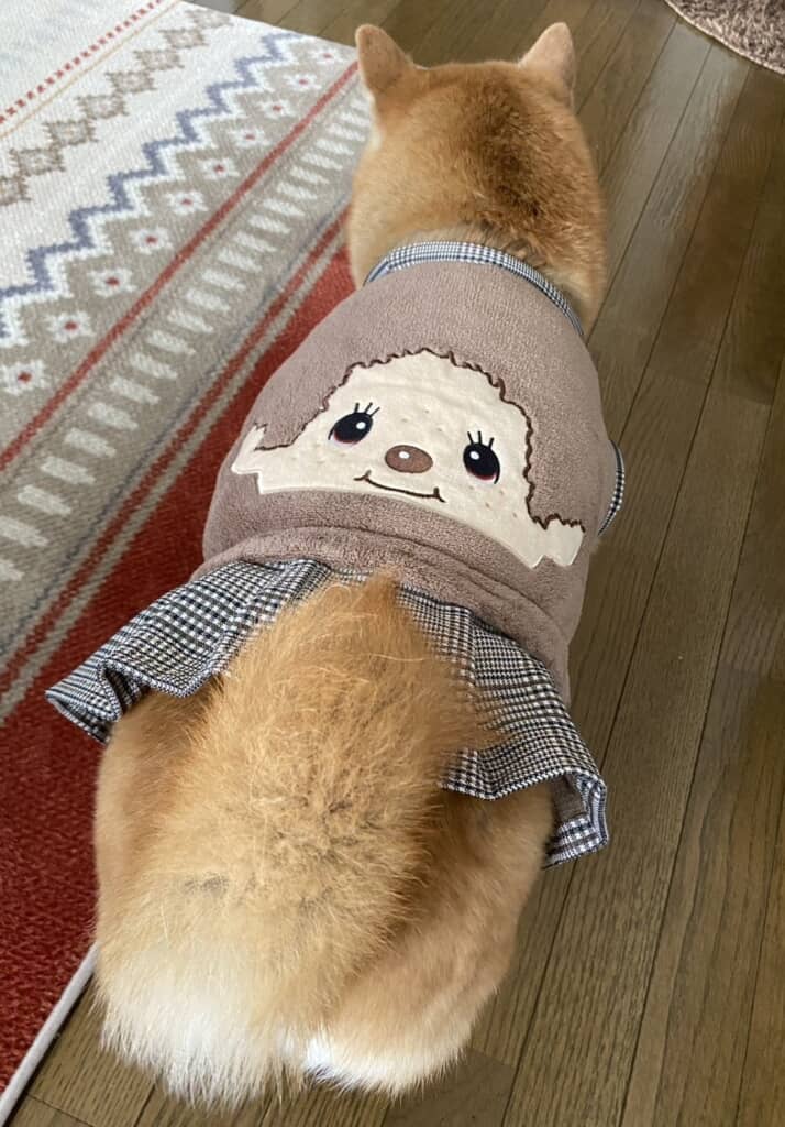 モンチッチを背負う九ちゃん
