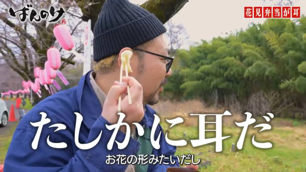 大きさもちょうど耳っぽいですね
