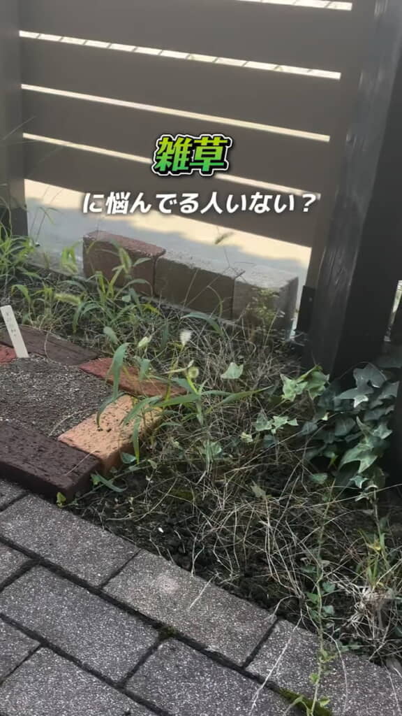 玄関前の雑草対策をしたい