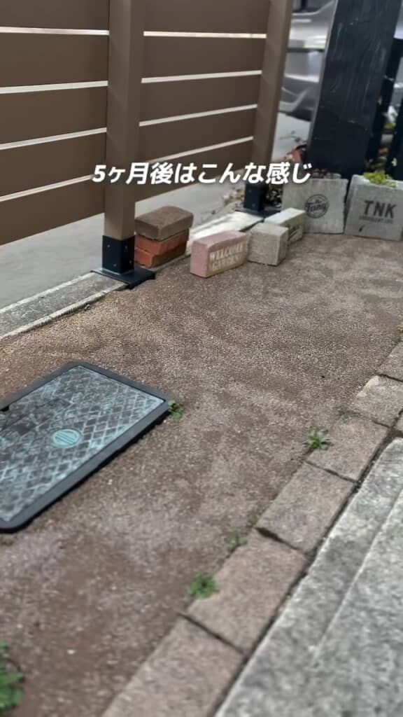 5カ月後も雑草はほぼ生えず！