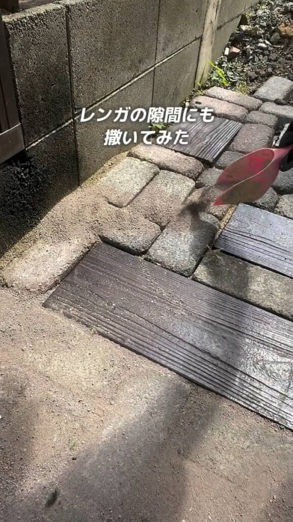 レンガの隙間にも撒いてみる