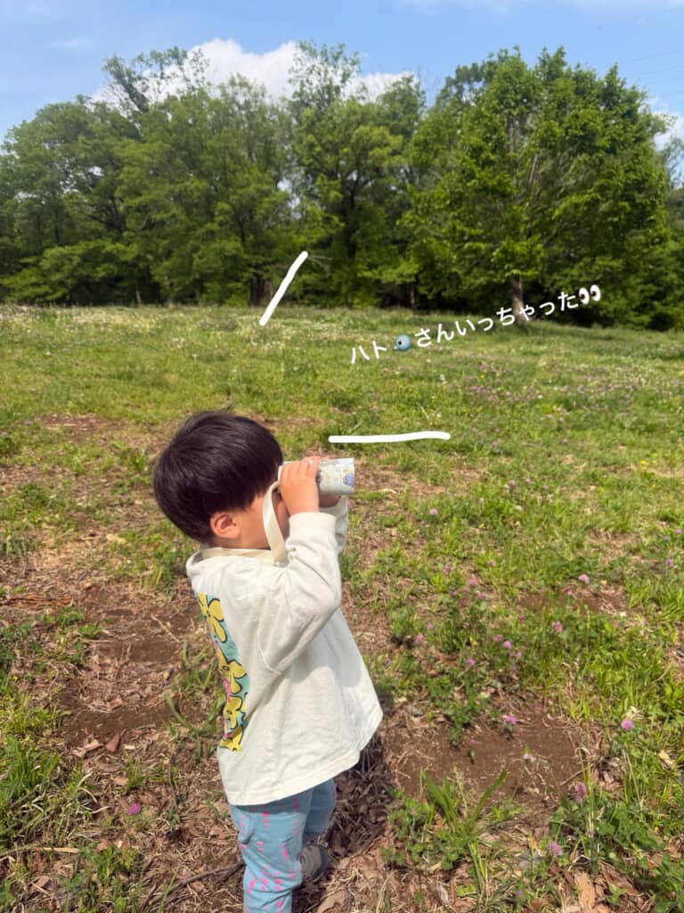 ハトさんの行方を追う