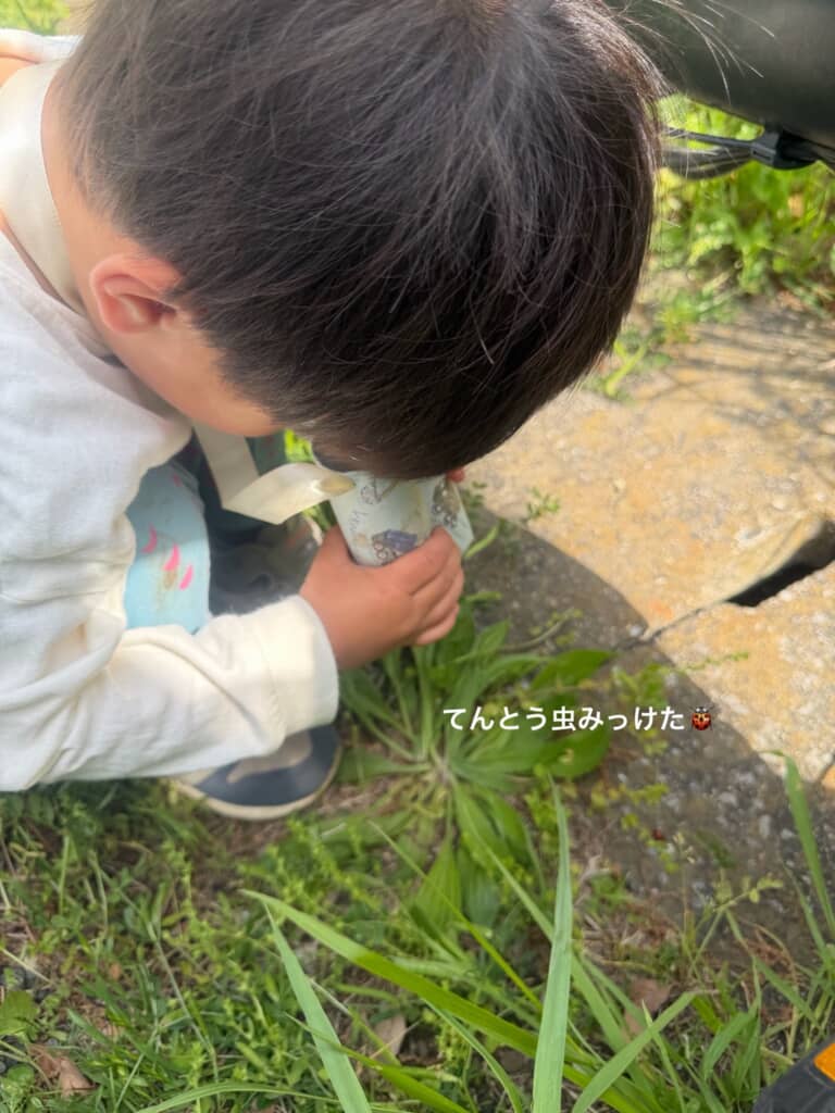 見落としてしまいそうな小さな虫さんも発見！