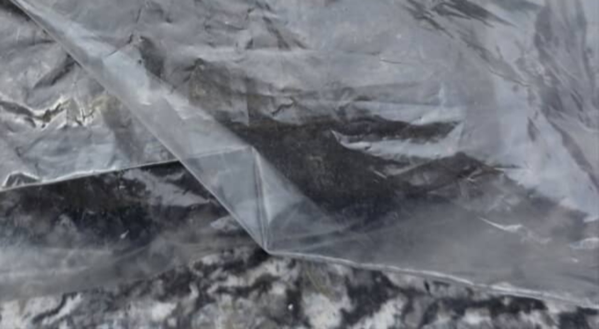 警察「落とし物が届いています」→袋を開けると…… まさかの光景に「すごい」「拾った人物は何者だったの」(1/3) | ライフスタイル ねとらぼ