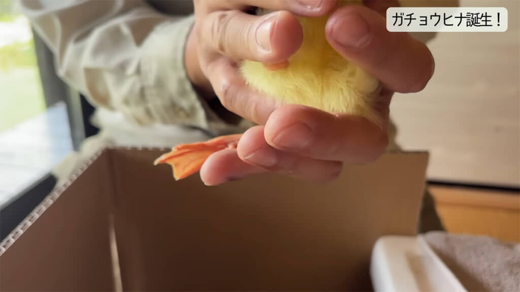 足が非常に大きいです