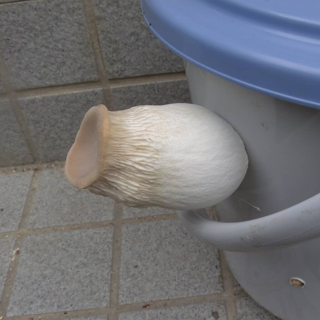 えぇっ!?!?