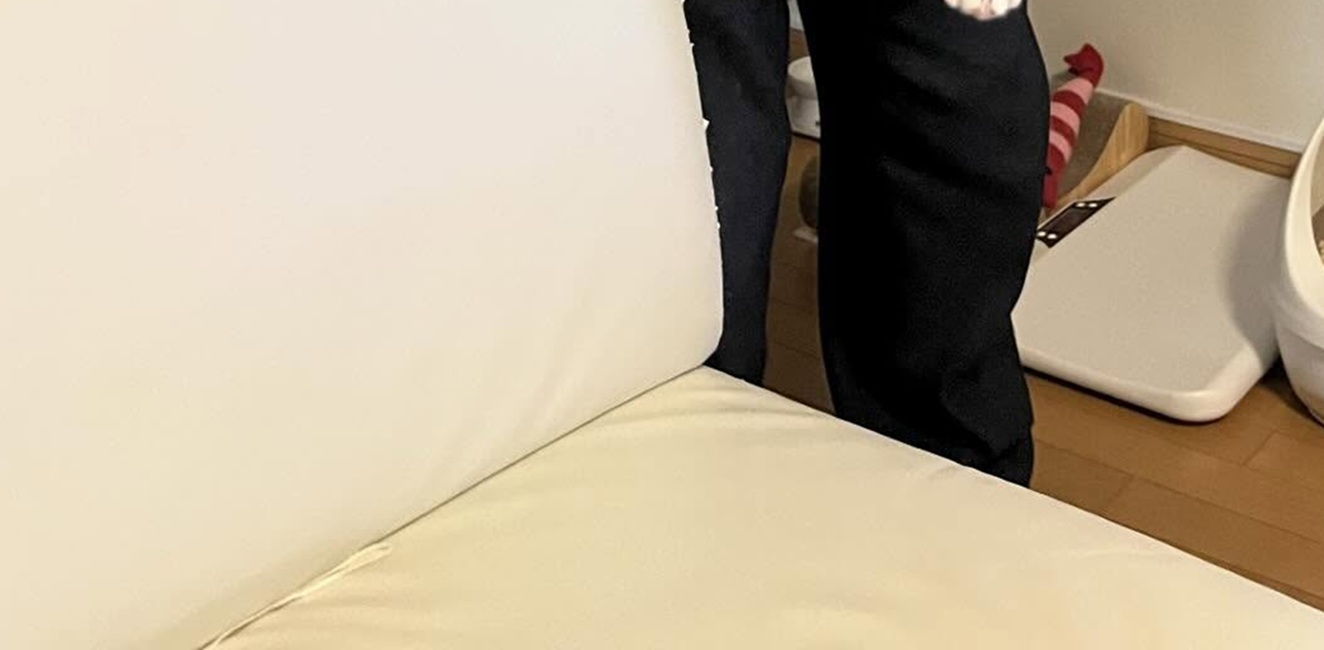 80代おじいちゃん「わしは猫嫌いなんや!」と宣言→2年後…… 目を疑う光景に「温度差良すぎ」「猫ちゃんのお顔よ笑」(1/2) | 猫 ねとらぼ