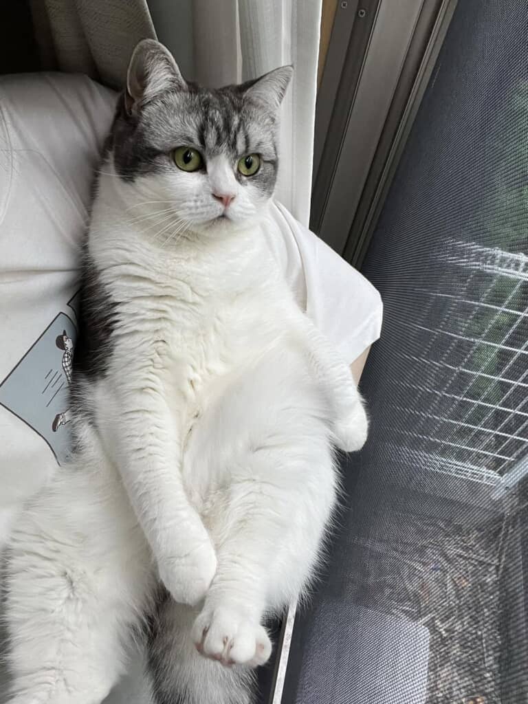 2歳になったぽぽちゃん