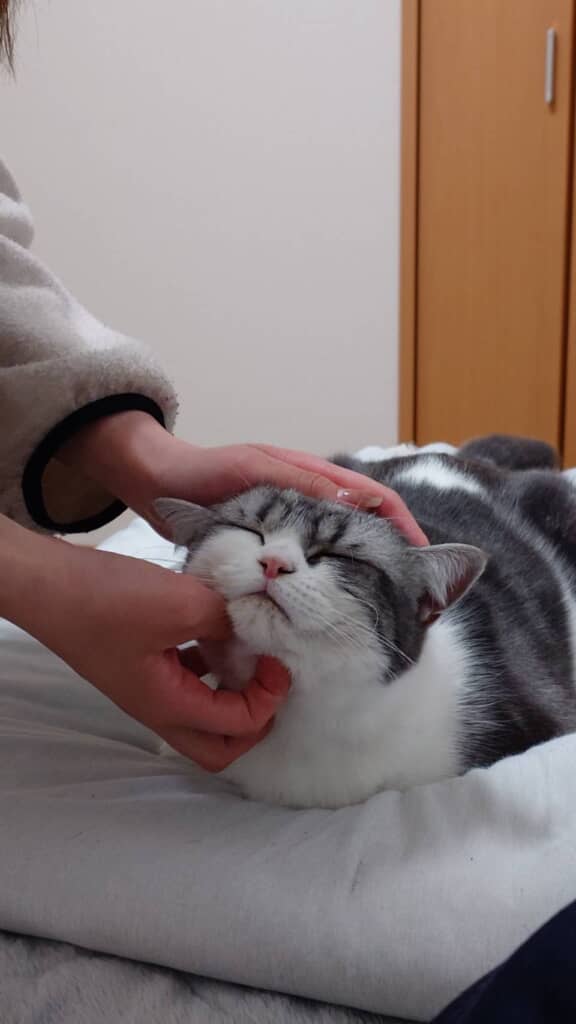 なでなででご満悦なお顔