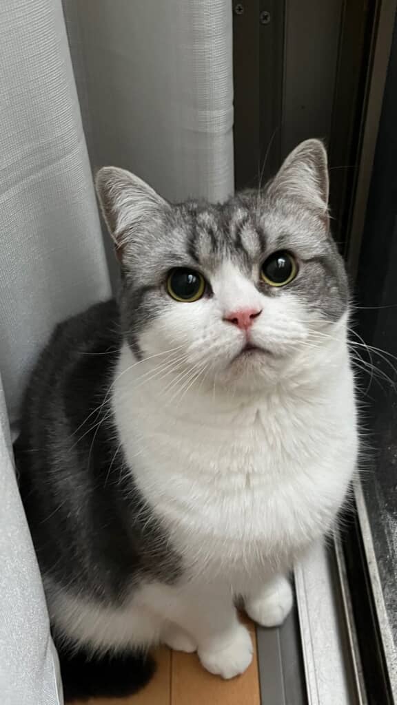 きゅるきゅるおめめがかわいい！