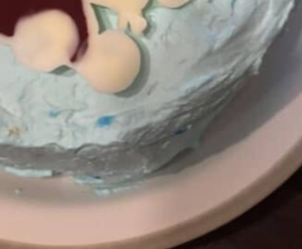 妻の誕生日、夫がケーキを手作りしたら……「ヤバッ」　衝撃のデザインに「ユーモアたっぷり」「センス良き」（1/3） | ライフスタイル ねとらぼ
