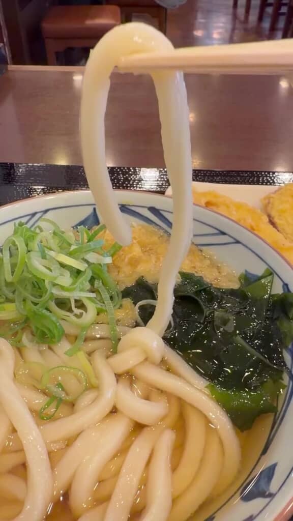 おいしそうなうどん