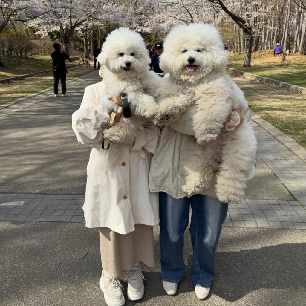 “犬人間”が爆誕!?