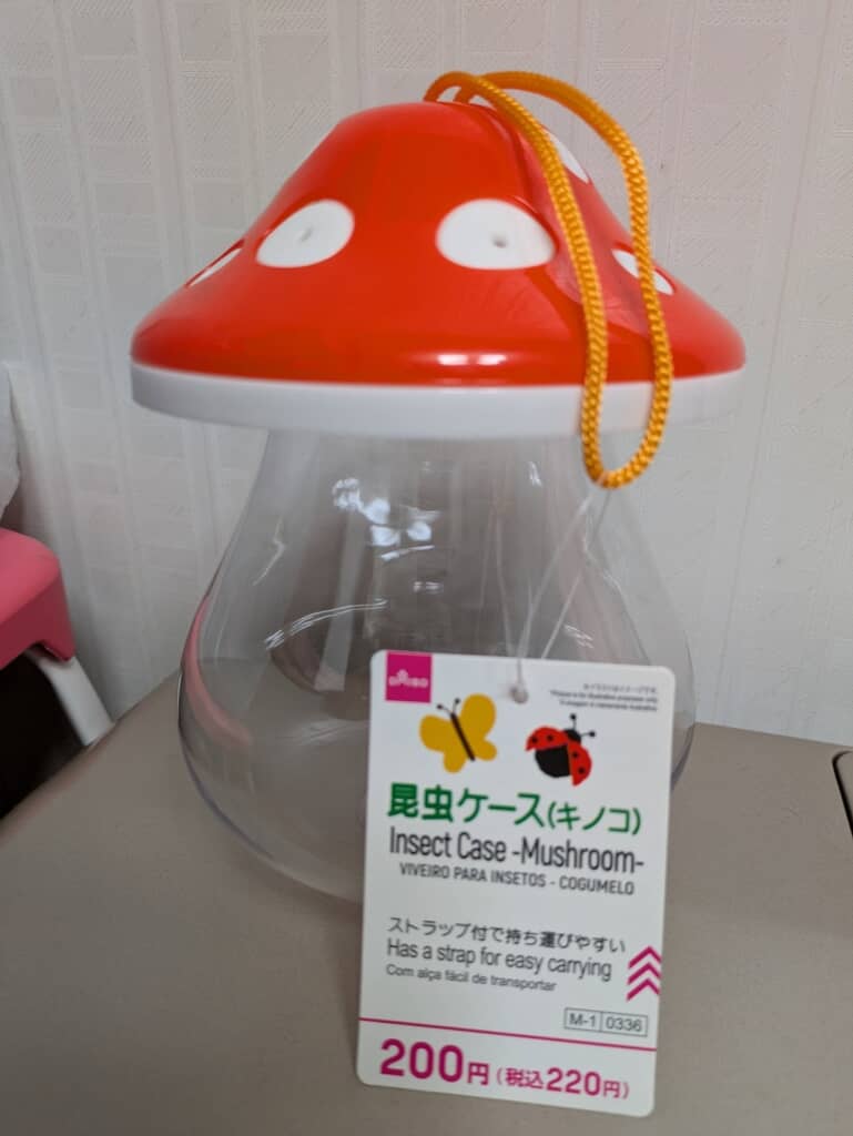 ダイソーの昆虫ケース(きのこ)
