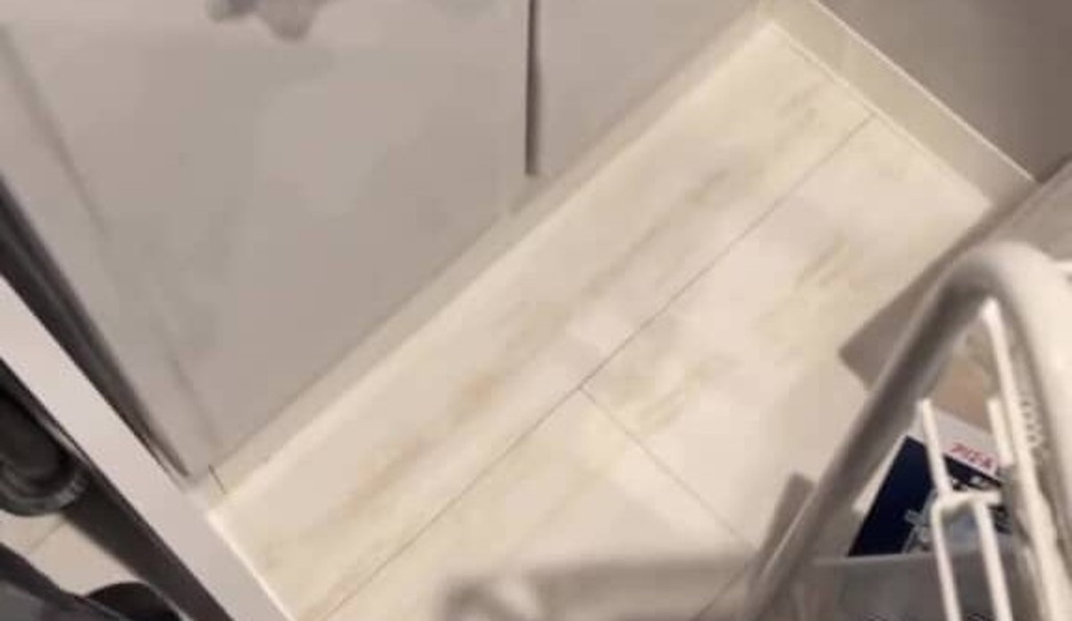 調理予定のヤシガニがいない!→探したら…… 絶叫級の光景が507万再生「めちゃくちゃビビる」「思ってた10倍デカかった」(1/3) | その他生き物 ねとらぼ