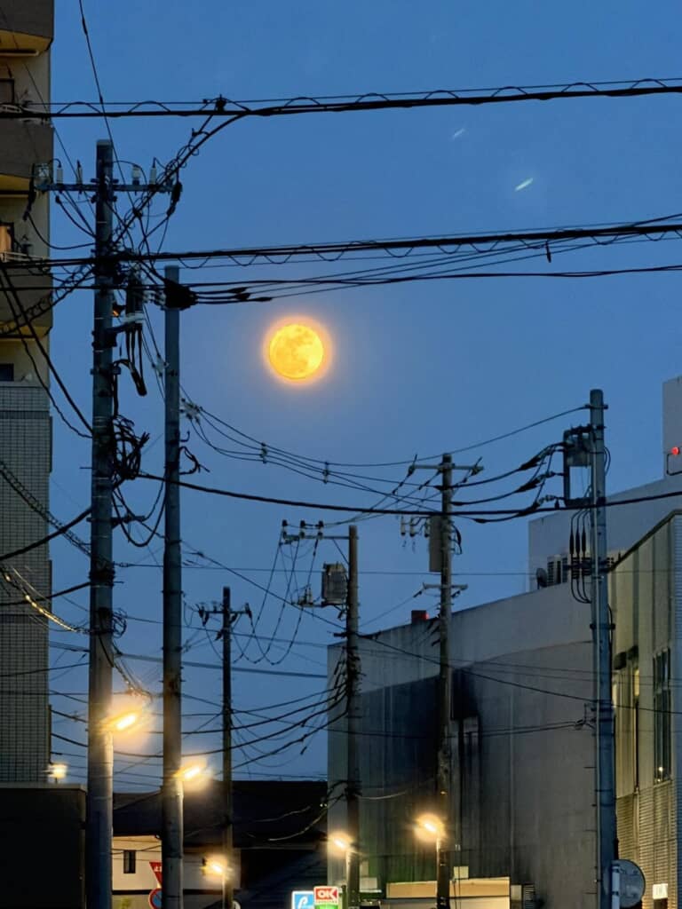 見事な満月が!