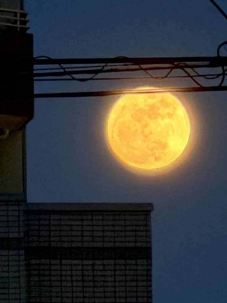 月の海もくっきり見えます