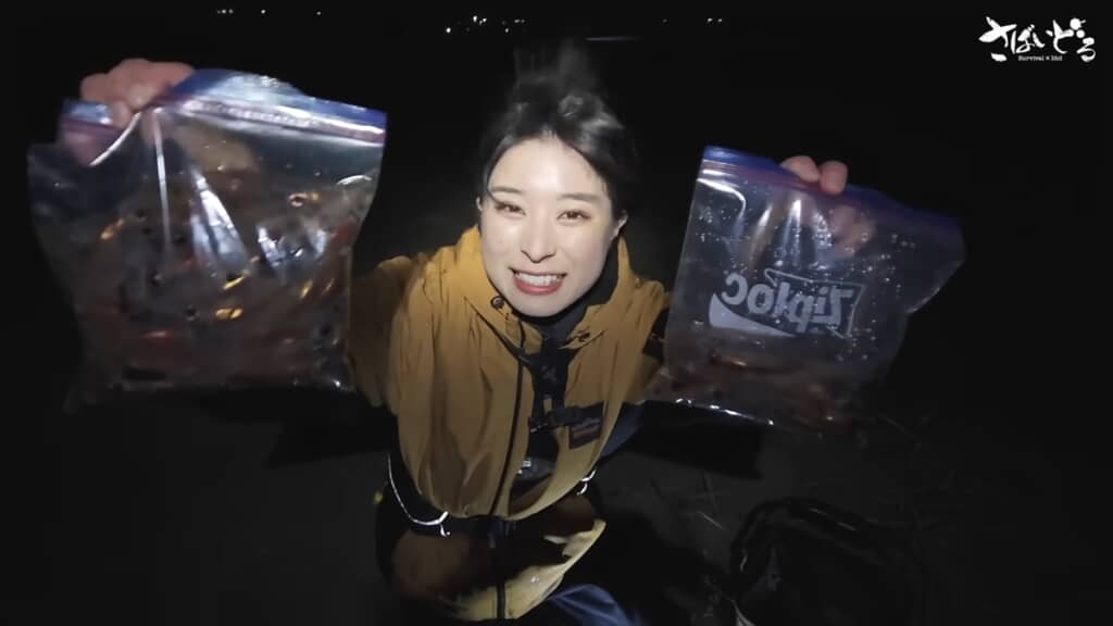 富山湾でホタルイカ掬いをするアイドル