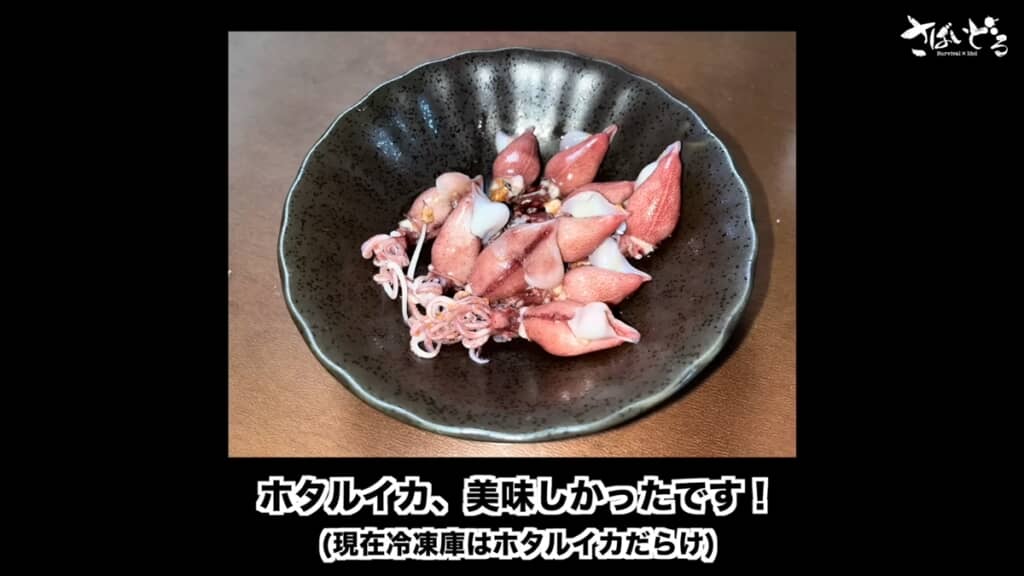 富山湾でホタルイカ掬いをするアイドル