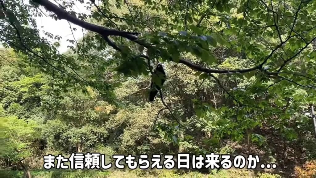 人懐っこいカラスとの交流