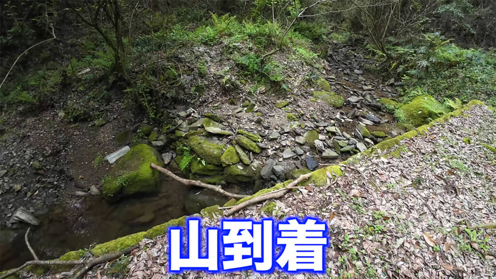本日は山の小川で釣りをします