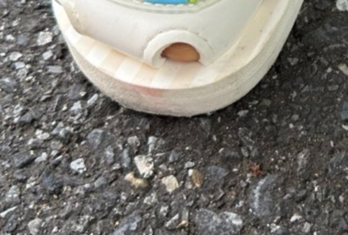 2歳娘が西松屋で「買う！」と手放さなかったのは……　“ママも欲しかった”一品が79万表示「こんなん買うしかない」（1/3） | 育児 ねとらぼ