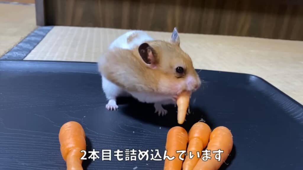 続いて2本目にも挑戦