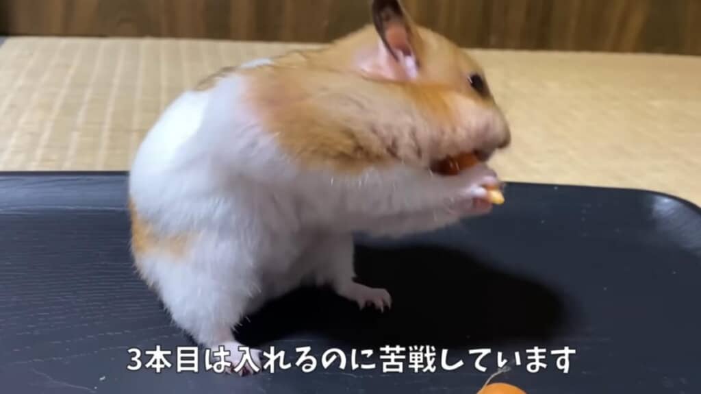 3本目はちょっと苦戦