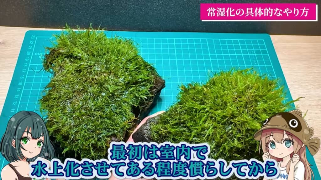 室内で水上化させてから
