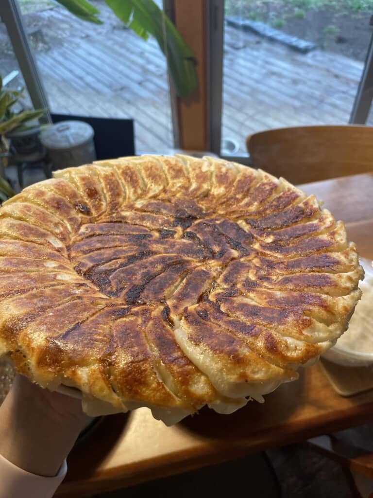 餃子だけでもすごい量