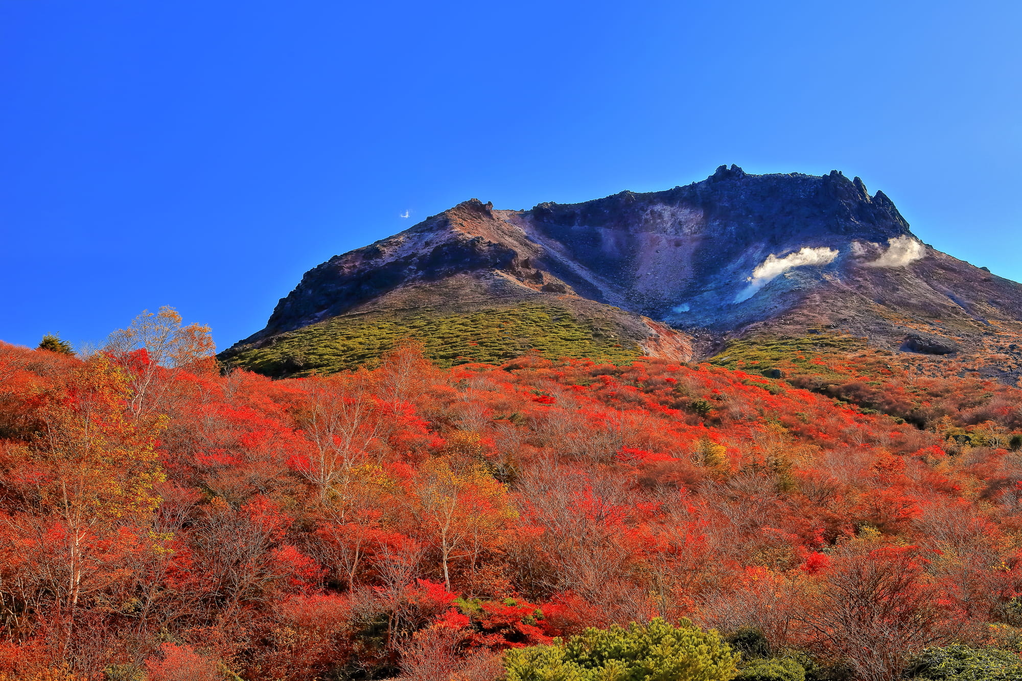 「5回ほど泊っている」栃木県の“ご飯がおいしすぎる宿”が大好評! 「お風呂も夕食も最高!リピ確定の宿」「とちぎ和牛に感激」「露天風呂が最高!」(1/2) | ライフ ねとらぼリサーチ