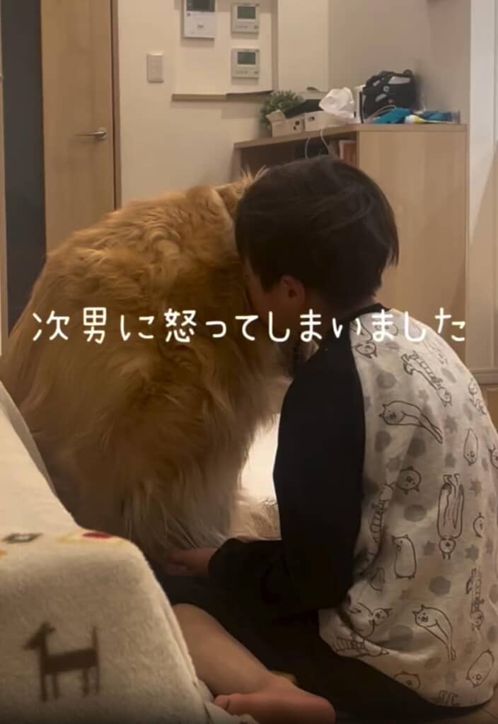 ママさんに怒られて落ち込む次男くん