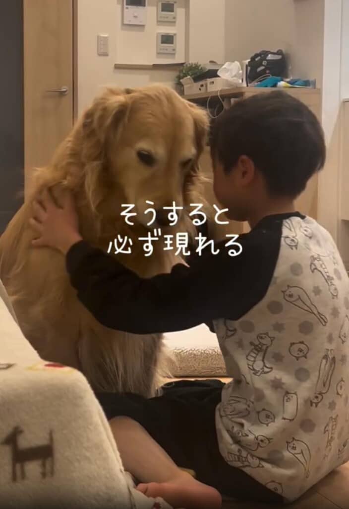 次男くんがピンチのときに必ず現れるきなこちゃん