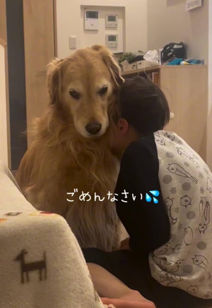 あまりの迫力に謝るママさん