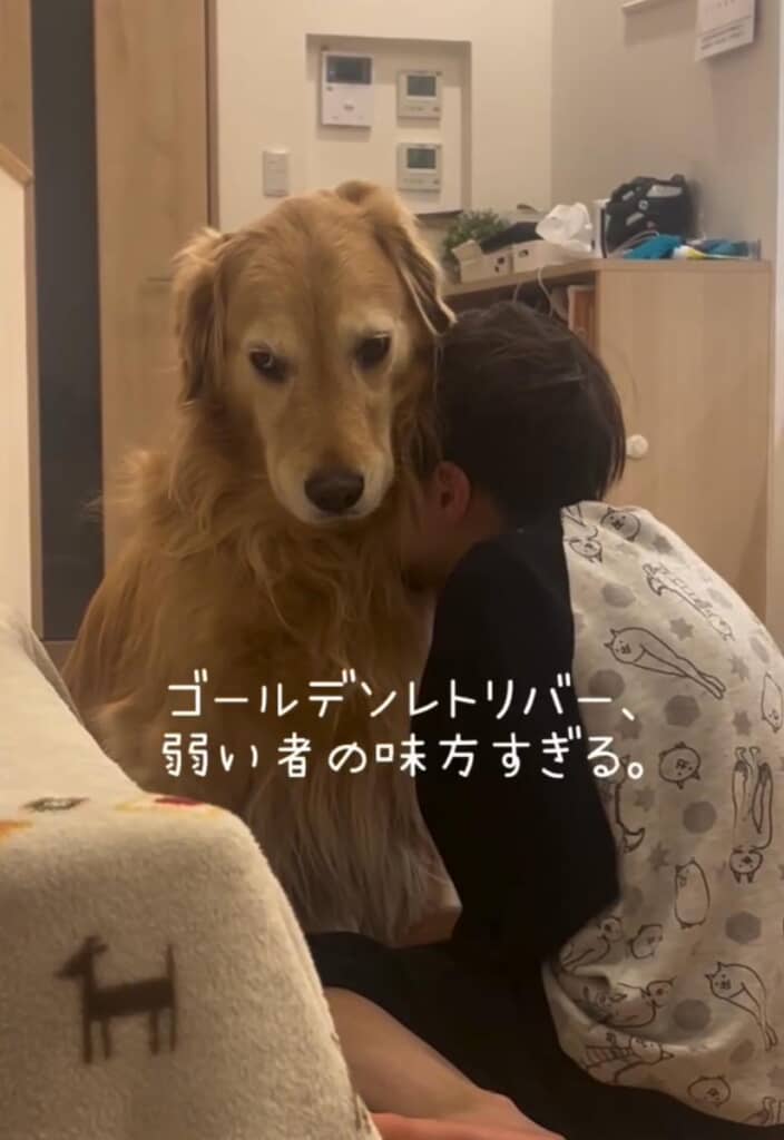 弱い者の味方すぎるとっても優しいきなこちゃん