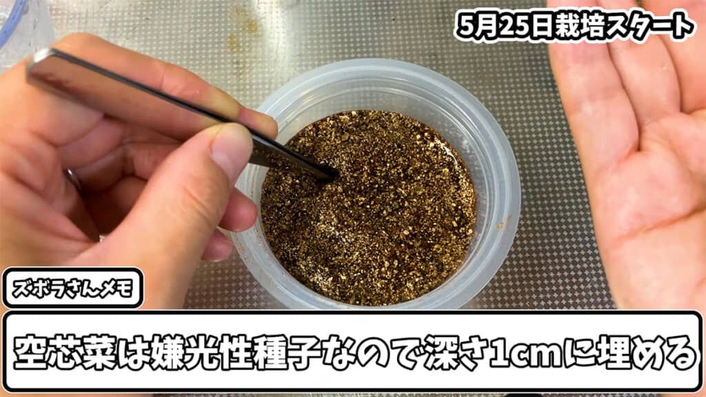 種はしっかりと植えましょう