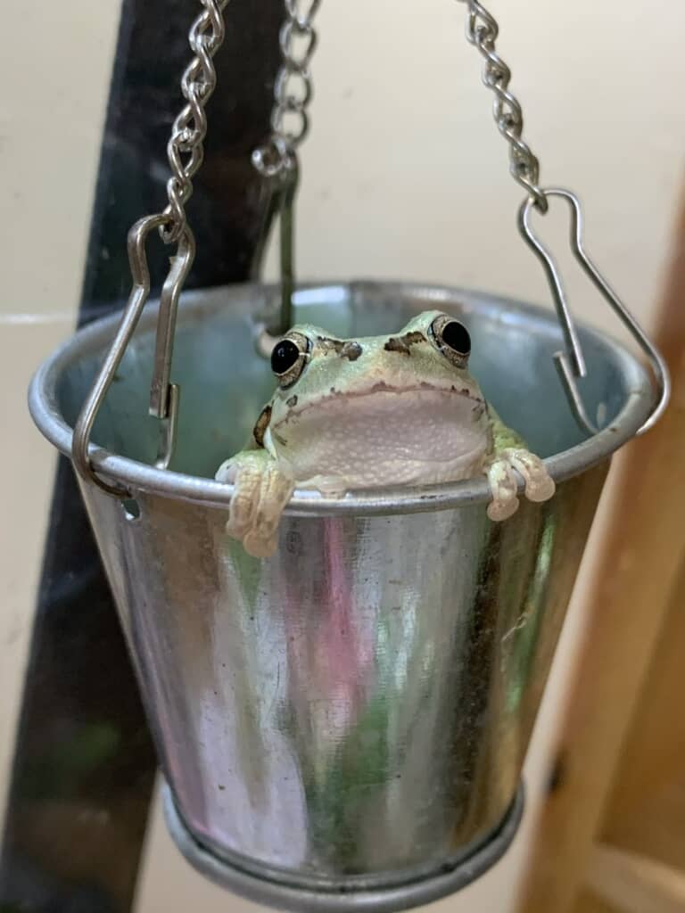 お風呂に入っているみたいでかわいい！